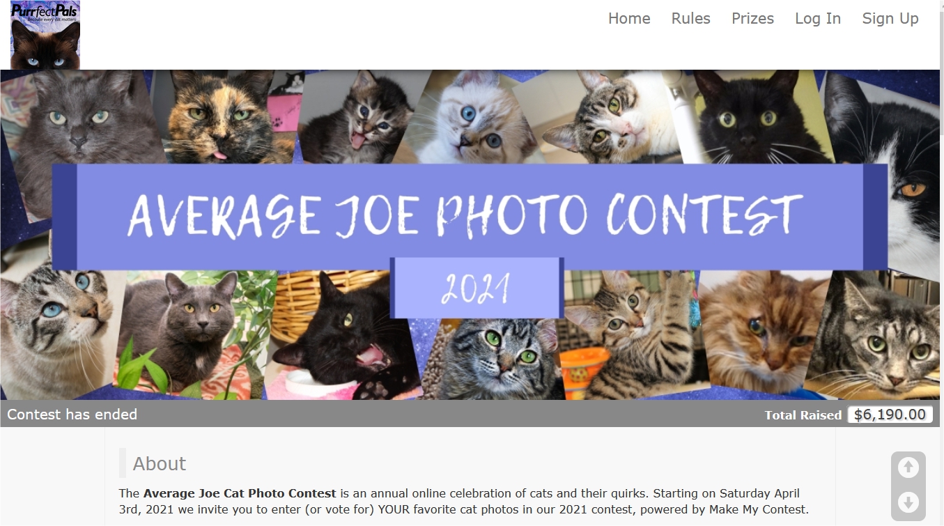 screenshot of Make My Contest